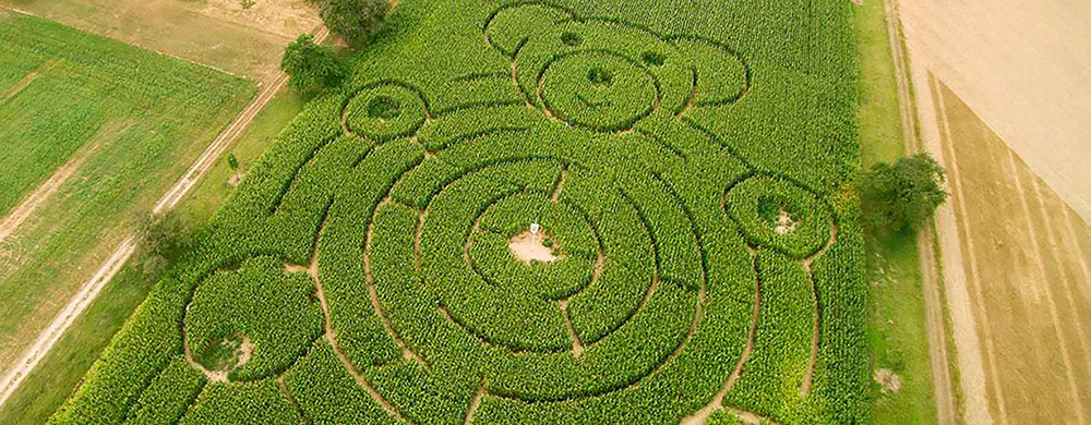 Videoproduktion Eutingen